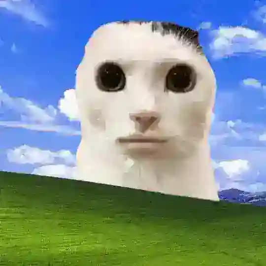 ꜱₐ៷𝑑ₐԼᵢ ™❕🇰 🇿
