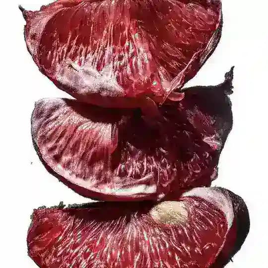SANGUICES