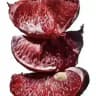 SANGUICES