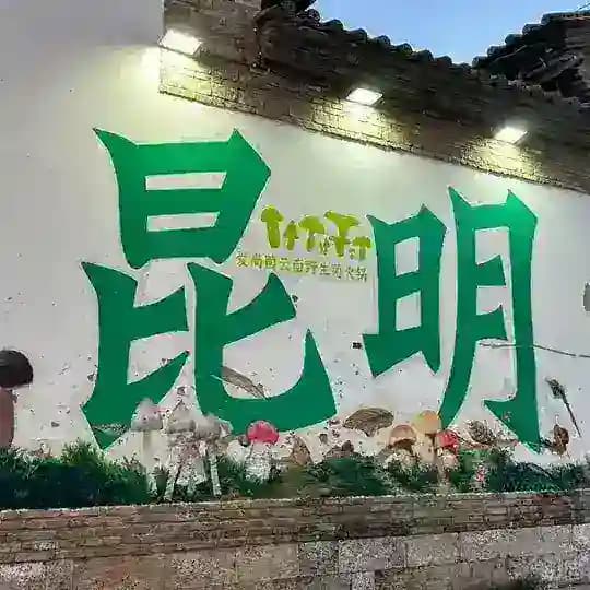 昆明 大理 版纳实体会所