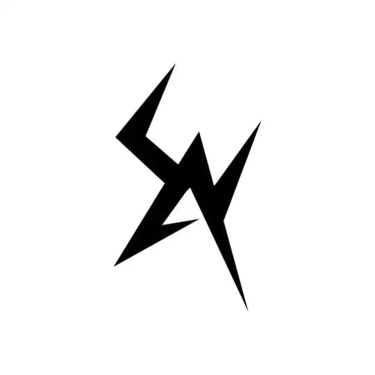 S.A.Y.