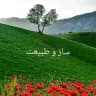 🌿 ساز و طبیعت 🌿