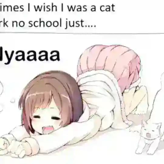 наночка