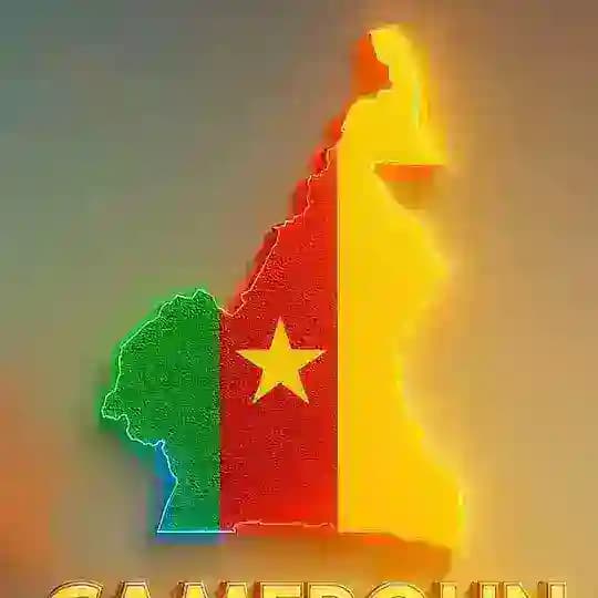 SCHEMA_info237🇨🇲👆👆