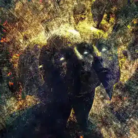 Schizo Terminal