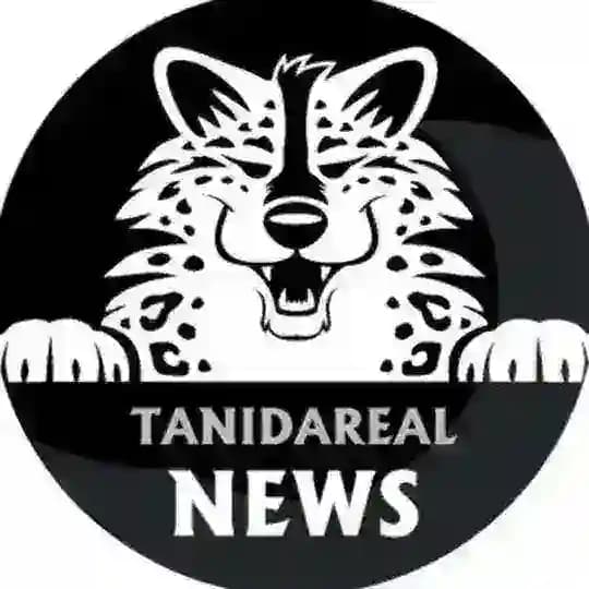 TaniDaReal - Art & News Channel