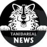 TaniDaReal - Art & News Channel