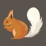 Sciurus Vulgaris Poeticus
