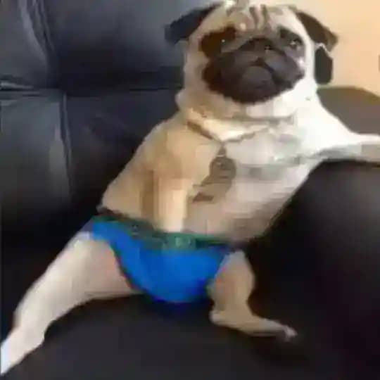 𝘀𝗰𝗿𝗶𝗽𝘁𝗺𝗮𝘂𝘀𝗿𝗯𝘅