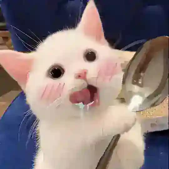 🪐心情垃圾站 🔗