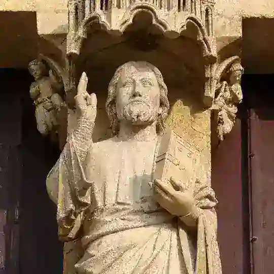 Sedes Sapientiae Profile