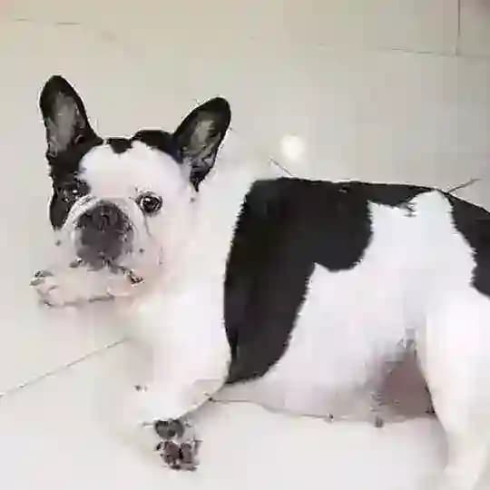si Pablo