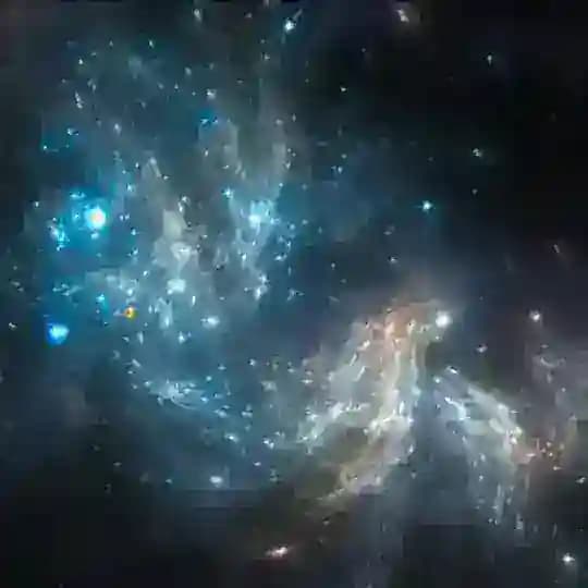 星空中高圈选妃安排