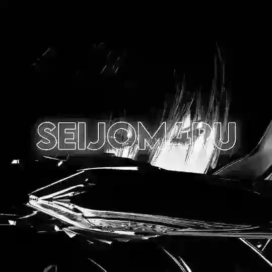 seijom4ru steam profiles