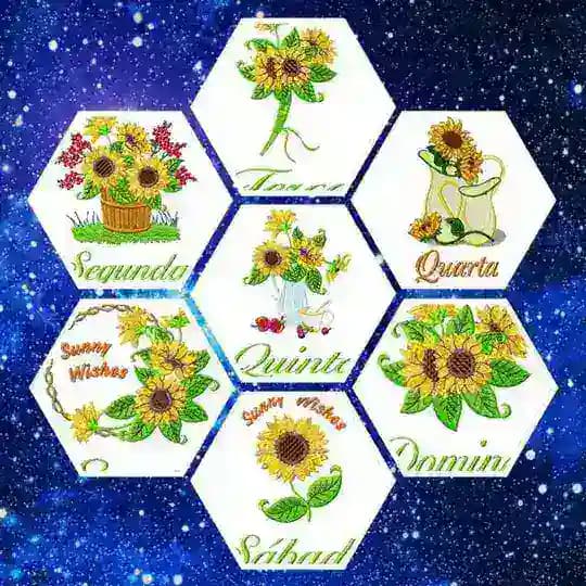 ❤️ Semaninhas ✂️💈🧵👩🏽‍🎨 Profile