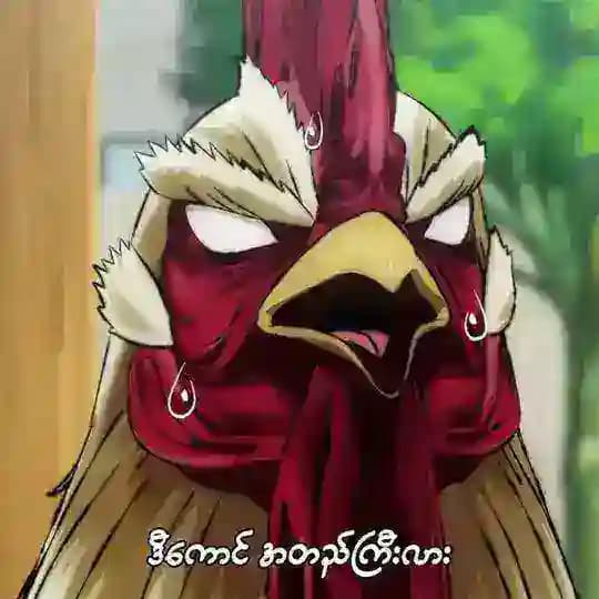 SenpaiAnimeMM 2026 ကြက်ဖ