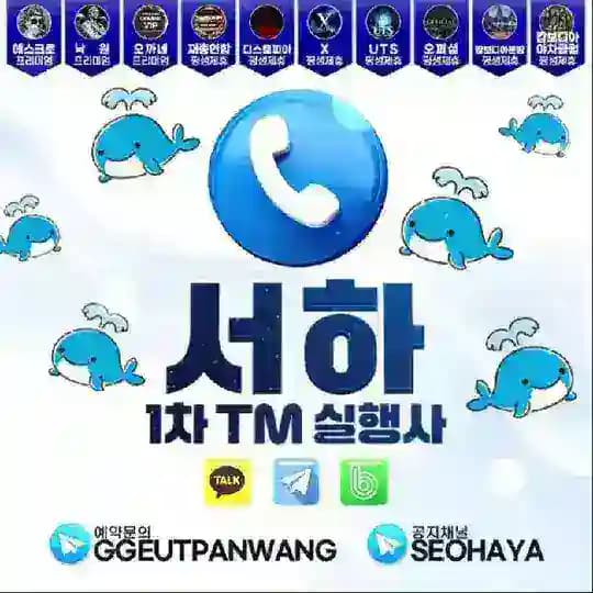 서하의 1차 TM 🐳