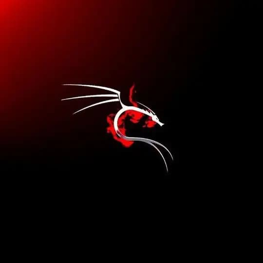 ادو//ات بايثـ//ــون