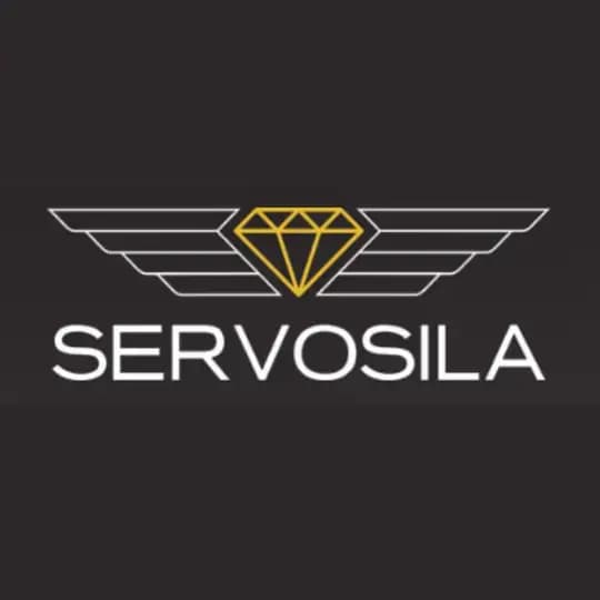 Servosila: Motion Control & Artificial Intelligence
