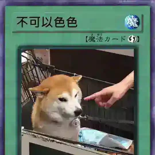 形形的人