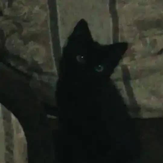 фортуна) 🎱🕷 Profile