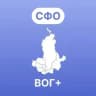 Сибирский федеральный округ ВОГ+