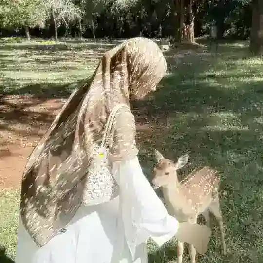 شِعـر