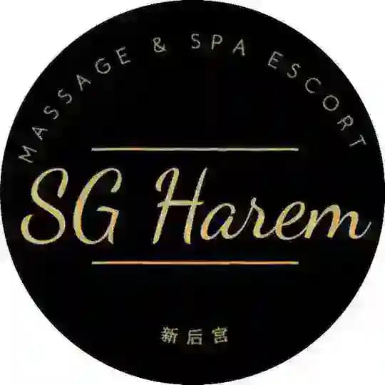 🇸🇬【Channel2】 SGHarem 后宫网 | New Arrivals