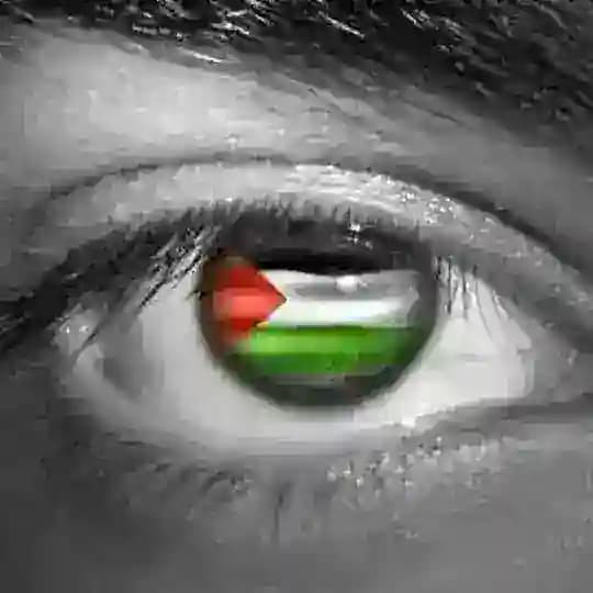 الصف الخامس - المكتبة الفلسطينية الشاملة
