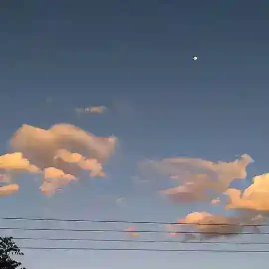 لـِ فقيديّ .