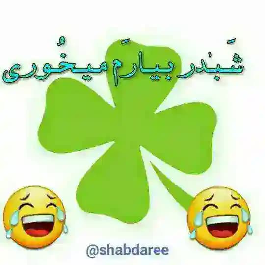 شبدر بیارم میخوری🍀