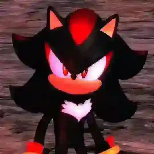 Shadow🎵