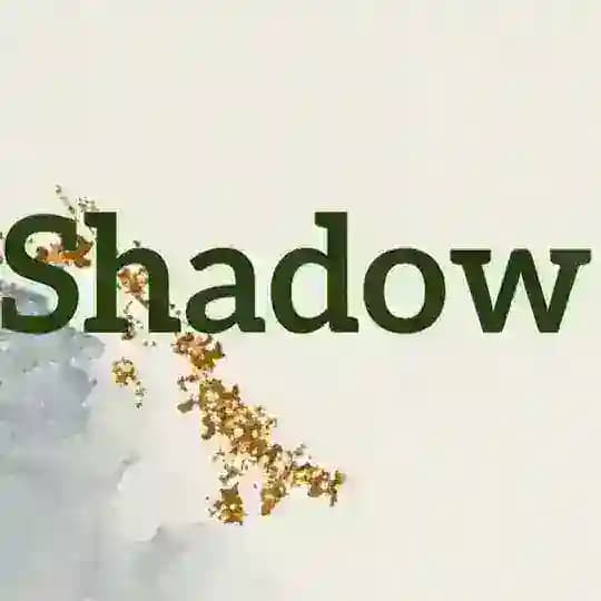 ShadowShopping