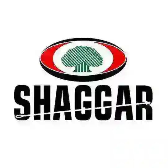 Shaggar City Communication