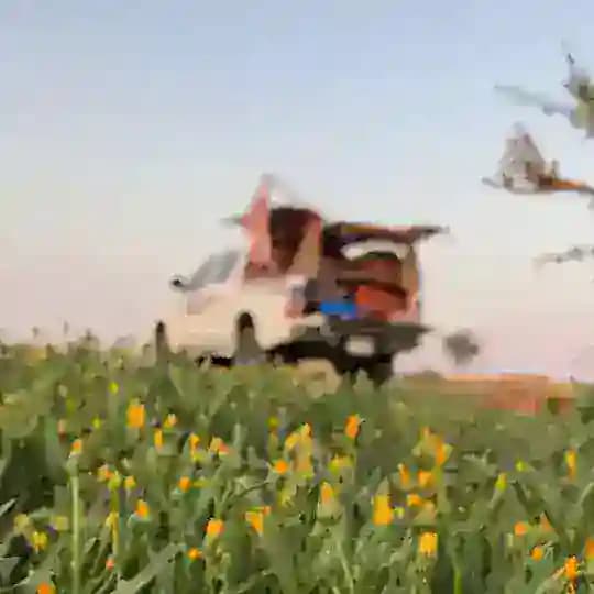 قناة شقردي 🌦⛺️
