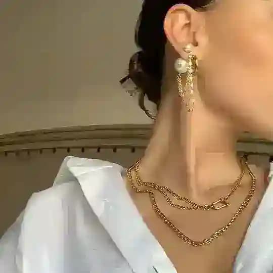 شاینو اکسسوری