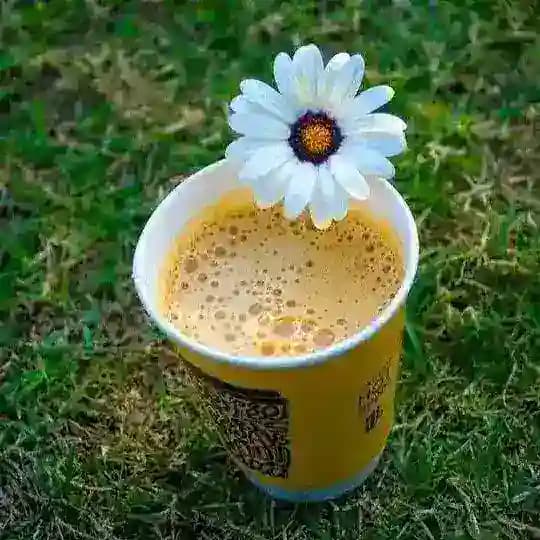 বাংলার প্রকৃতি 😱 Profile