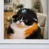 bmw enjoyer