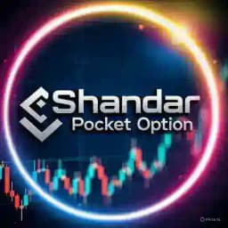 SHANDAR POCKET OPTION Profile