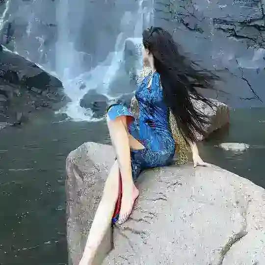 花集|上海中圈
