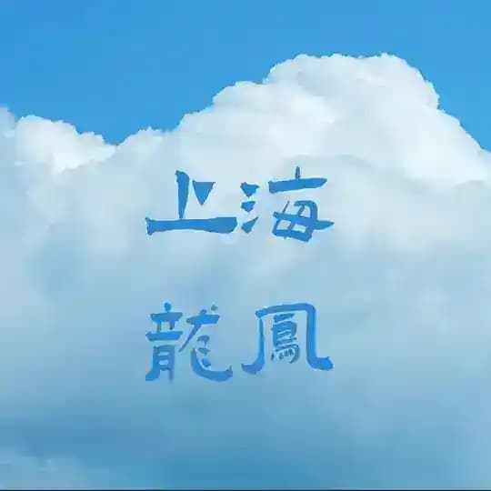 上海龙凤榜
