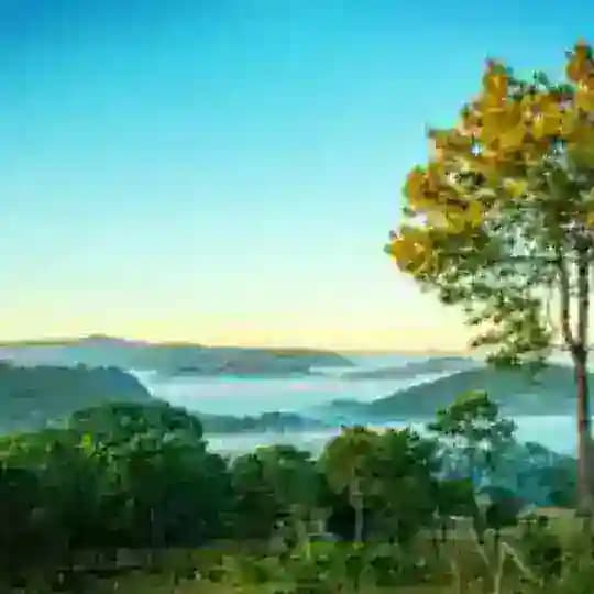 ရှမ်းပြည်နယ်သတင်းစုံ