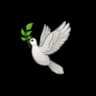 Share