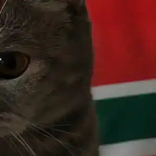 ᅠᅠ