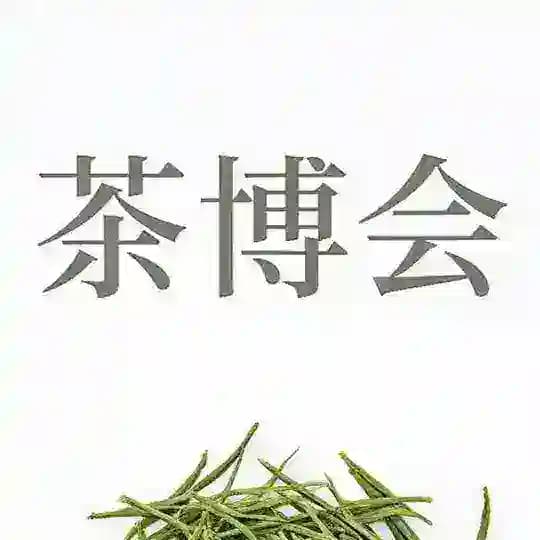 上Hai茶博会观光