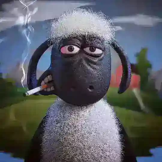Sheep Media
