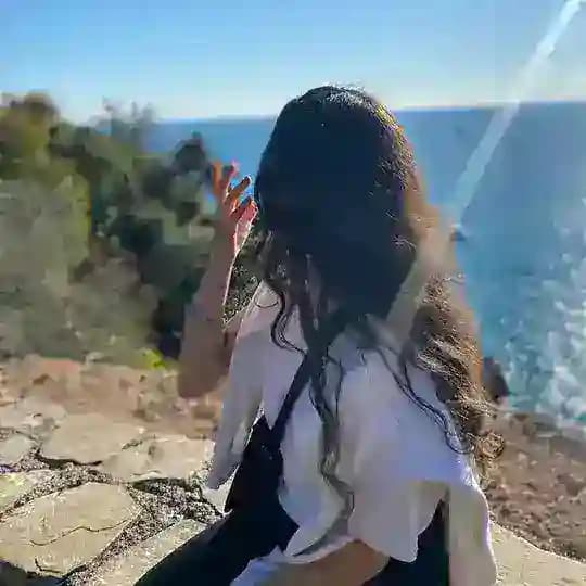 شیمیل برتر
