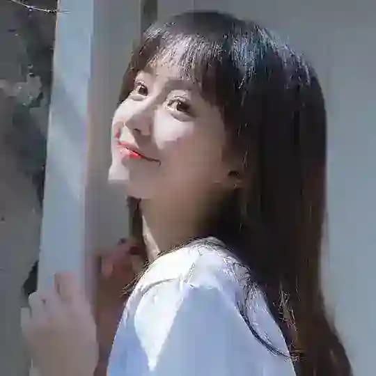 沈阳外围