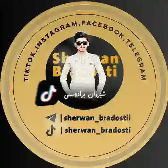 Sherwan Bradosti Tiktok Profile