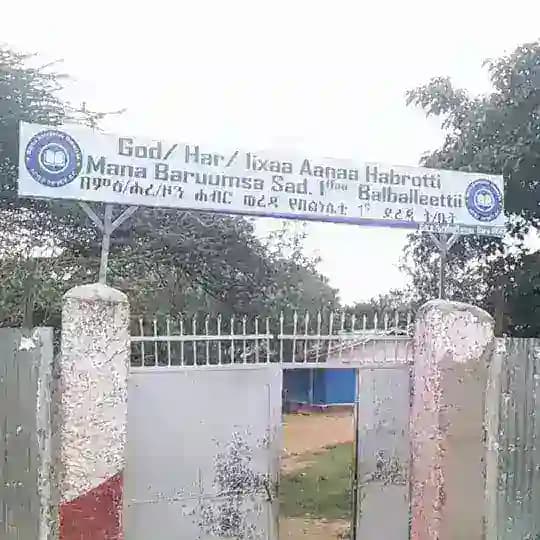 Mana Barumsaa Balballeettii Sadarkaa 1ffaa. Bara 1956
